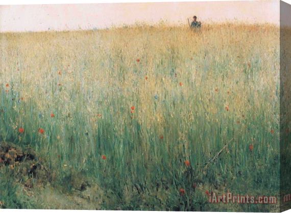 Karl Nordstrom Oat Field, Grez Stretched Canvas Print / Canvas Art