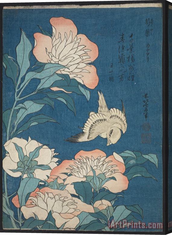 Katsushika Hokusai Peonies And Canary Stretched Canvas Print / Canvas Art