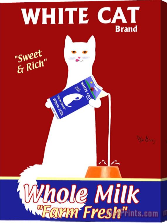 Ken Bailey White Cat Milk Stretched Canvas Print / Canvas Art