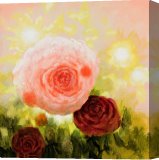 Stretched Canvas Print Stretched Canvas Print