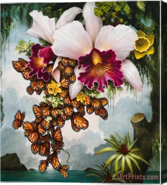 Kevin Sloan K03 Stretched Canvas Print / Canvas Art
