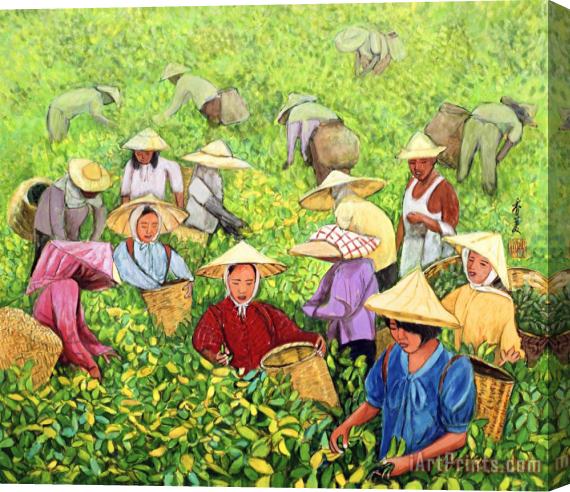 Komi Chen Tea Picking Girl Stretched Canvas Painting / Canvas Art