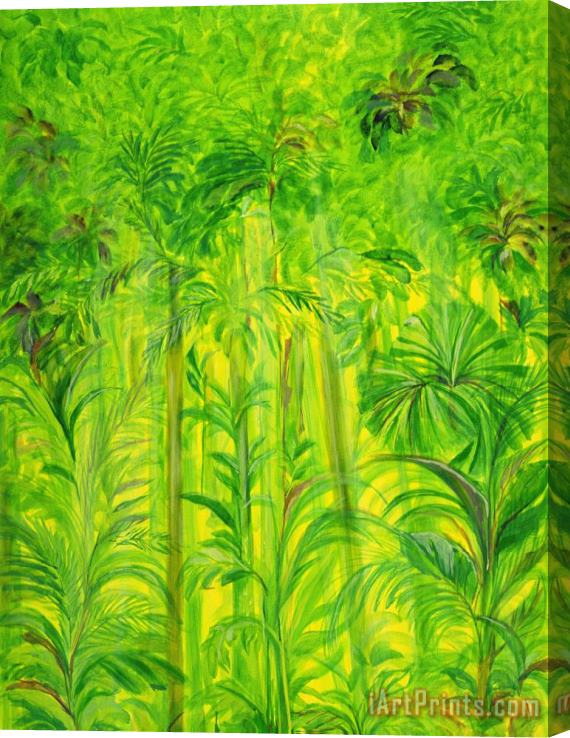 Laila Shawa Rain Forest Malaysia Stretched Canvas Print / Canvas Art