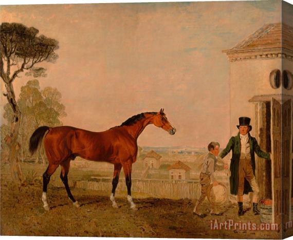 Lambert Marshall 'sultan' at The Marquess of Exeter's Stud, Burghley House Stretched Canvas Painting / Canvas Art