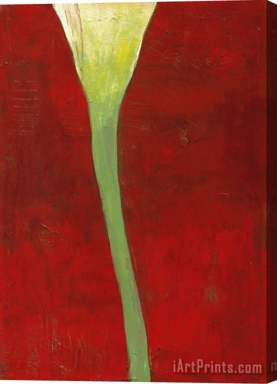 Laura Gunn Calla Lily on Deep Red II Stretched Canvas Painting / Canvas Art