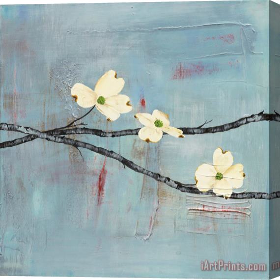 Laura Gunn Dogwood on Blue II Stretched Canvas Print / Canvas Art