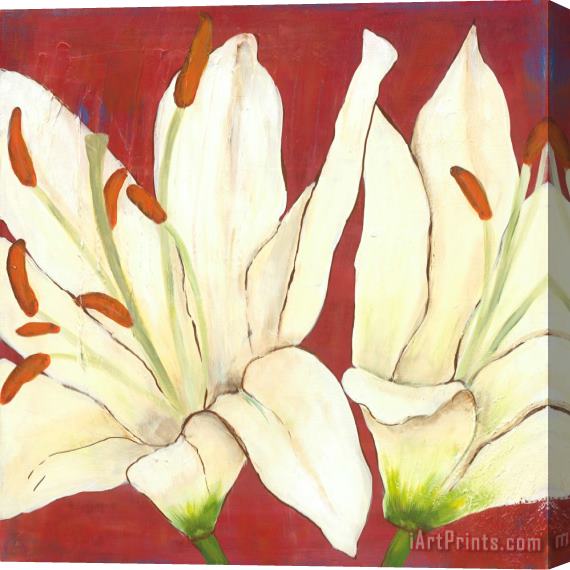Laura Gunn Lily Suite IV Stretched Canvas Print / Canvas Art