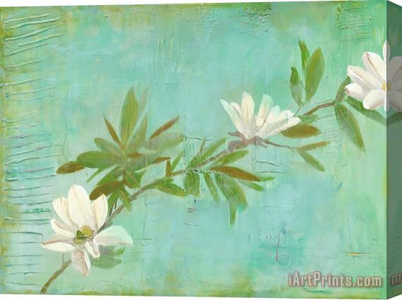 Laura Gunn Magnolias on Turquoise Stretched Canvas Print / Canvas Art