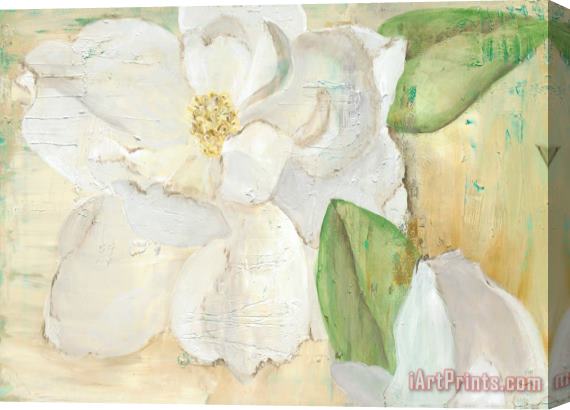 Laura Gunn Magnolias on Yellow Stretched Canvas Painting / Canvas Art