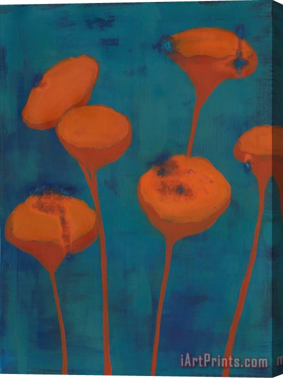 Laura Gunn Shelly Beans II Stretched Canvas Print / Canvas Art