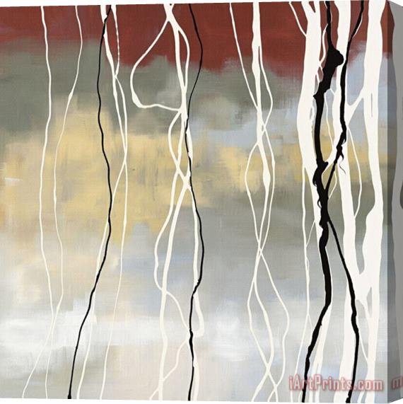 laurie maitland Silver Birch I Stretched Canvas Painting / Canvas Art