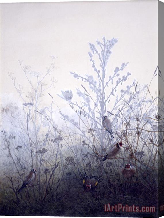 Leon Bonvin Birds Resting on Bushes Stretched Canvas Print / Canvas Art