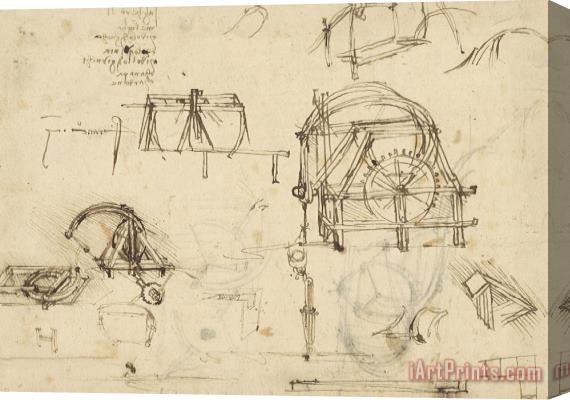Leonardo da Vinci Drawings Of Geometric Figures List Of Botanical Terms Sketches Of Construction Of Onager Stretched Canvas Painting / Canvas Art