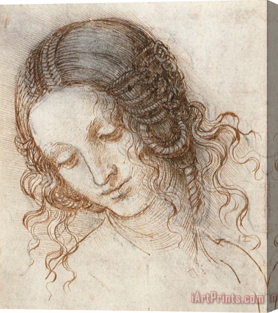 Leonardo da Vinci Leonardo Head Of Woman Drawing Stretched Canvas Print / Canvas Art