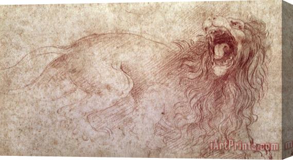 Leonardo da Vinci Sketch Of A Roaring Lion Stretched Canvas Print / Canvas Art