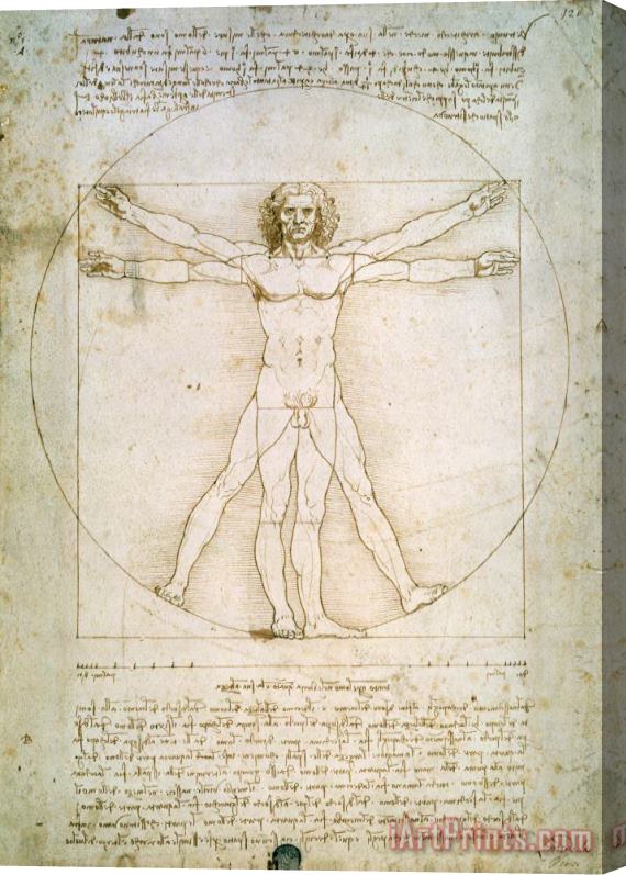 Leonardo da Vinci The Proportions of the human figure Stretched Canvas Painting / Canvas Art
