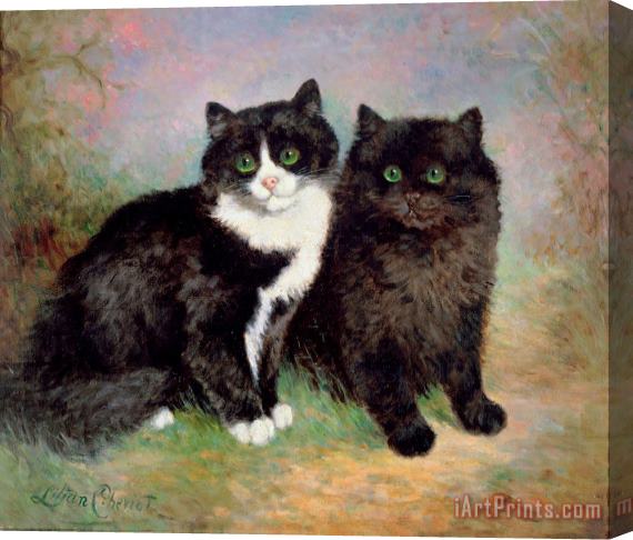 Lilian Cheviot A Pair of Pussy Cats Stretched Canvas Print / Canvas Art