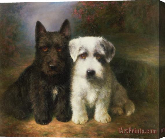 Lilian Cheviot A Scottish and a Sealyham Terrier Stretched Canvas Print / Canvas Art