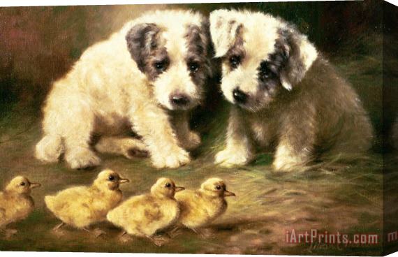 Lilian Cheviot Sealyham Puppies And Ducklings Stretched Canvas Print / Canvas Art