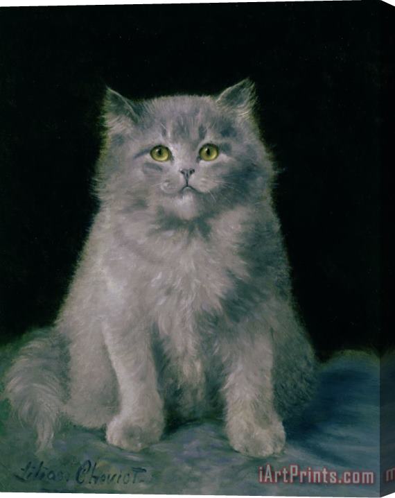 Lilian Cheviot Study of a cat Stretched Canvas Print / Canvas Art