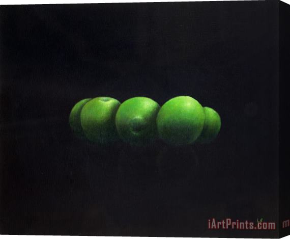 Lincoln Seligman Five Green Apples Stretched Canvas Print / Canvas Art