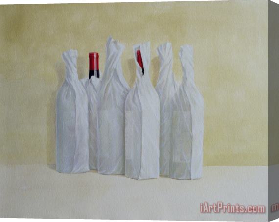 Lincoln Seligman Wrapped Bottles Number 2 Stretched Canvas Painting / Canvas Art