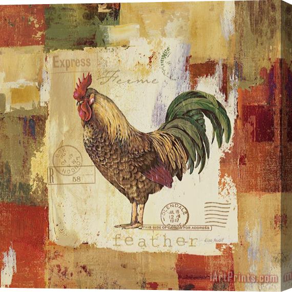Lisa Audit Colorful Rooster II Stretched Canvas Painting / Canvas Art