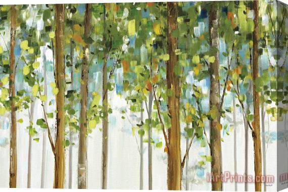 Lisa Audit Forest Study I Crop Stretched Canvas Print / Canvas Art