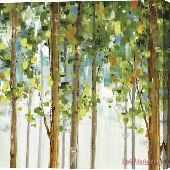 Lisa Audit Forest Study II Stretched Canvas Print / Canvas Art