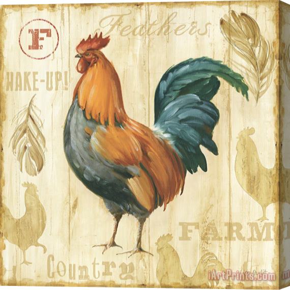 Lisa Audit Joli Rooster II Stretched Canvas Painting / Canvas Art