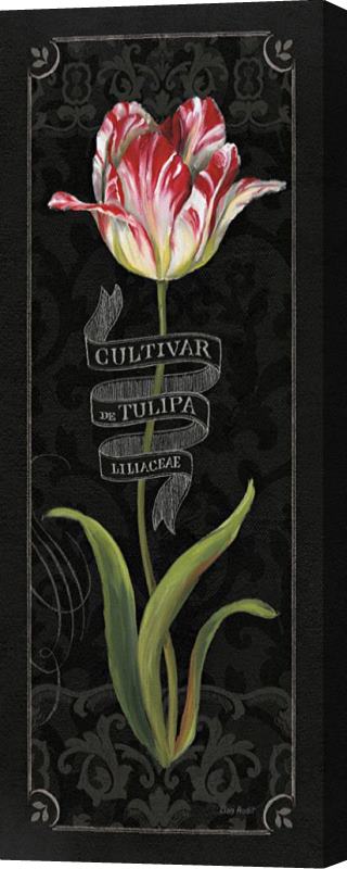 Lisa Audit Tulipa Botanica III Stretched Canvas Print / Canvas Art