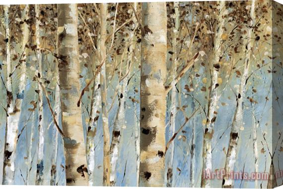 Lisa Audit White Forest I Stretched Canvas Painting / Canvas Art