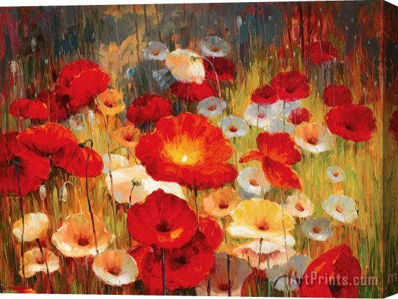Lucas Santini Meadow Poppies I Stretched Canvas Print / Canvas Art