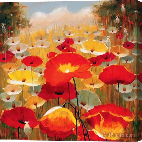 Lucas Santini Meadow Poppies Iv Stretched Canvas Print / Canvas Art