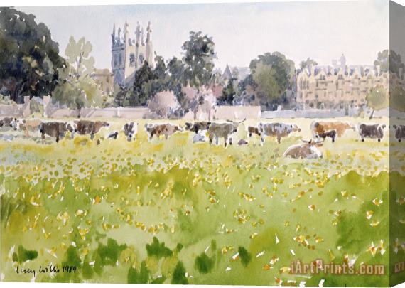 Lucy Willis Looking Across Christ Church Meadows Stretched Canvas Print / Canvas Art