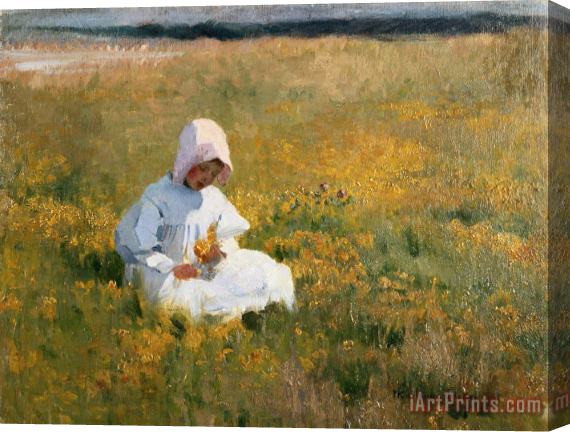 Marianne Stokes In a Field of Buttercups Stretched Canvas Print / Canvas Art