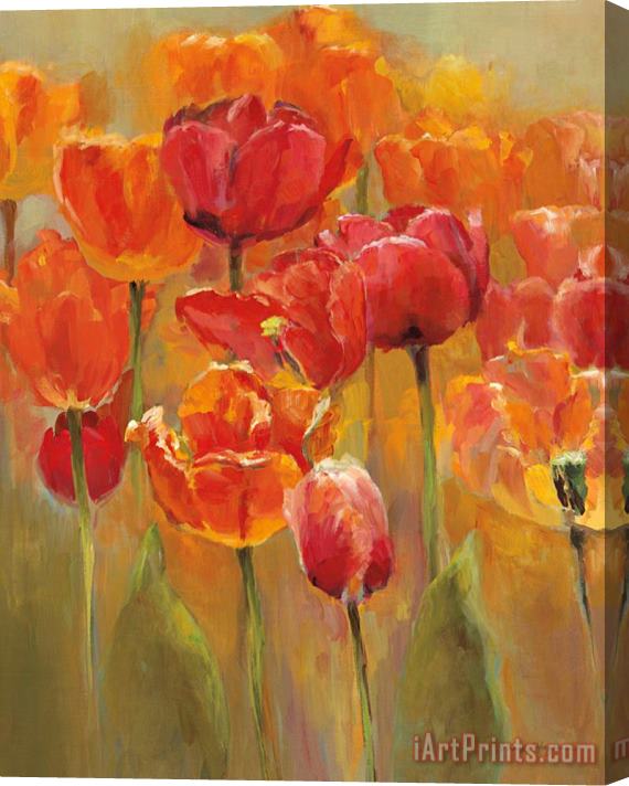 Marilyn Hageman Tulips in The Midst I Stretched Canvas Print / Canvas Art