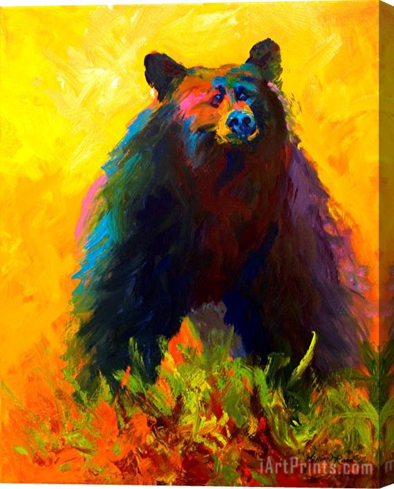 Marion Rose Alert - Black Bear Stretched Canvas Painting / Canvas Art
