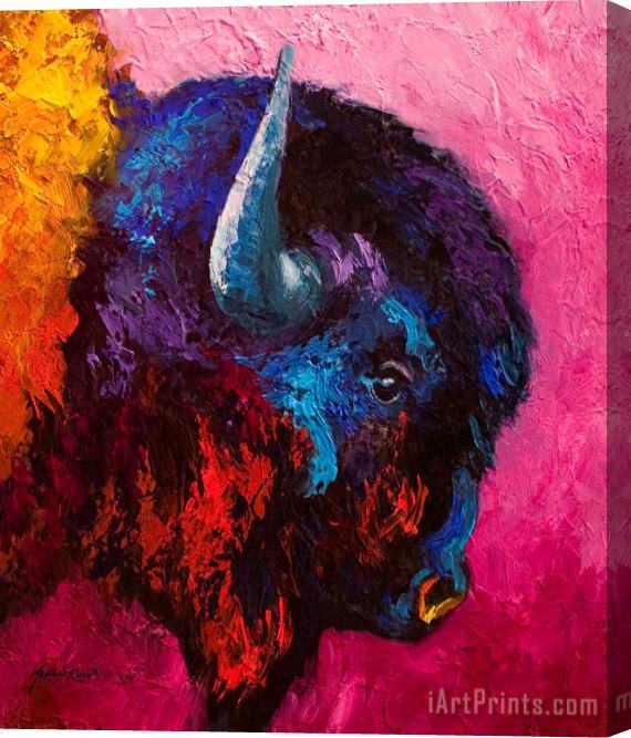 Marion Rose Ancient Soul - Bison Stretched Canvas Painting / Canvas Art