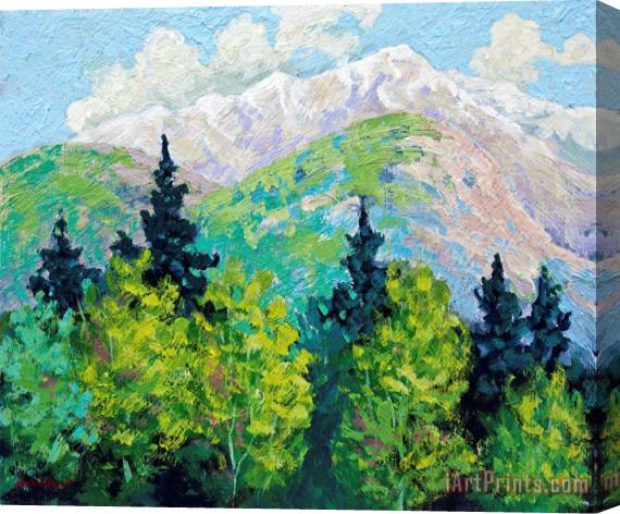 Marion Rose Banff National Park Stretched Canvas Painting / Canvas Art