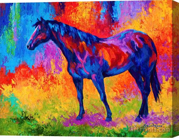 Marion Rose Bay Mare II Stretched Canvas Painting / Canvas Art
