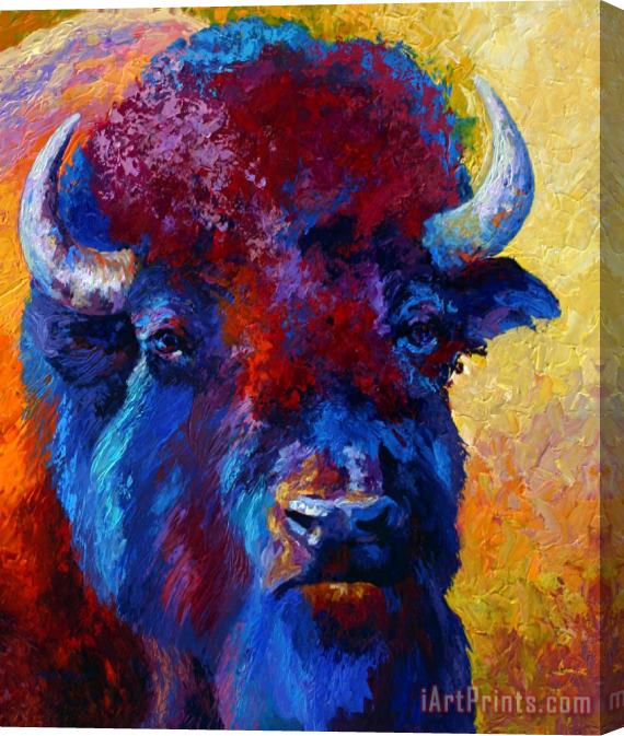 Marion Rose Bison Boss Stretched Canvas Painting / Canvas Art
