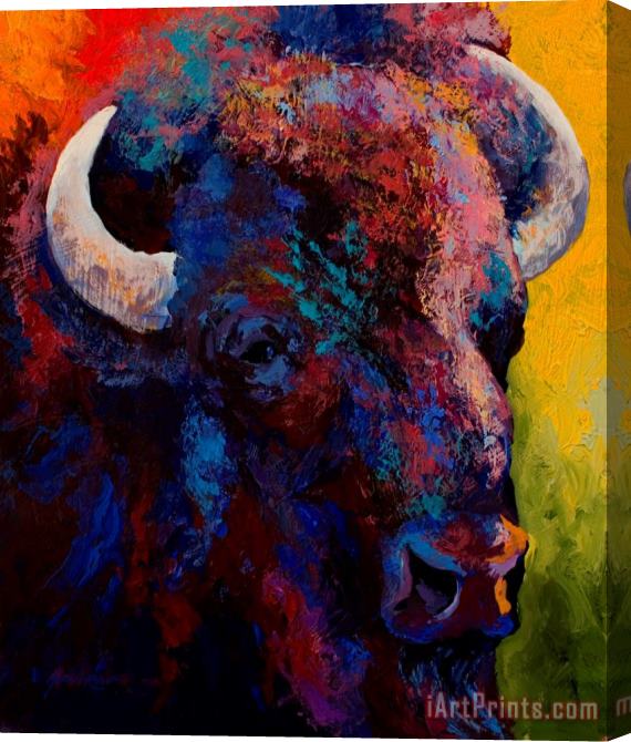 Marion Rose Bison Head Study Stretched Canvas Print / Canvas Art