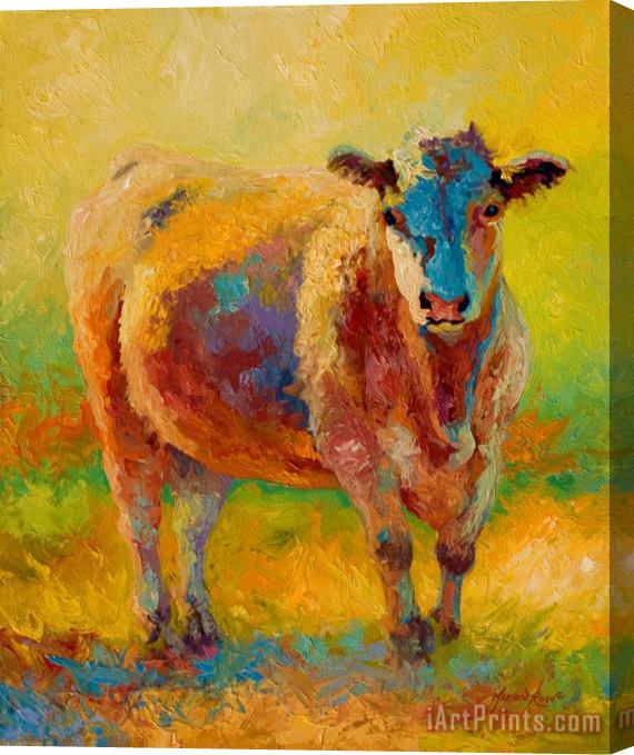 Marion Rose Blondie - Cow Stretched Canvas Painting / Canvas Art