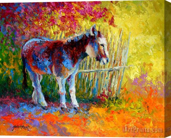 Marion Rose Burro And Bouganvillia Stretched Canvas Painting / Canvas Art