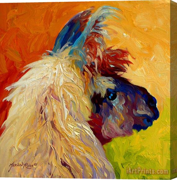 Marion Rose Calico Llama Stretched Canvas Painting / Canvas Art