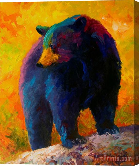 Marion Rose Checking The Smorg - Black Bear Stretched Canvas Painting / Canvas Art