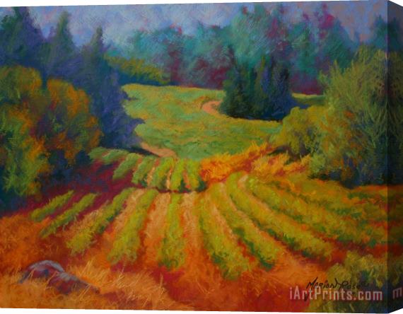 Marion Rose Columbia Valley Vineyard Stretched Canvas Painting / Canvas Art