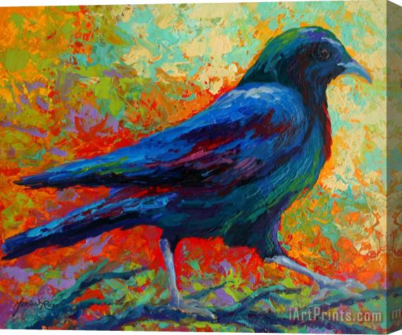 Marion Rose Crow Solo I Stretched Canvas Painting / Canvas Art
