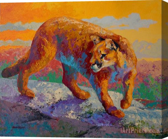 Marion Rose Down Off The Ridge - Cougar Stretched Canvas Painting / Canvas Art